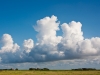 Wolk_0638