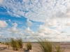 Zee1_0487