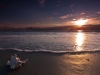 Zee2_0512
