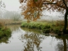 wpid-IMG_5642b