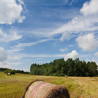 Grasbalen