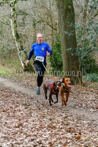 Canicross Havelte man twee honden