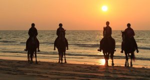 silhouette amazones tijdens zonsondergang