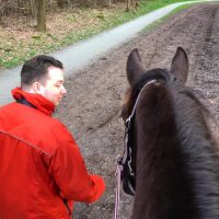 wandeling met paard