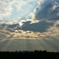 zonneharpen boven bos