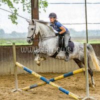 Working Equitation Ton Duivenvoorden