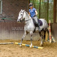 Working Equitation Nuno Avelar