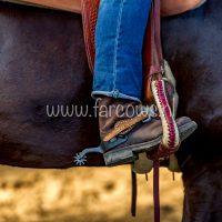 Working Equitation Ton Duivenvoorden