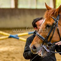 Working Equitation Nuno Avelar