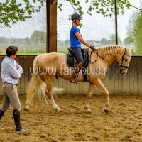 Working Equitation Nuno Avelar