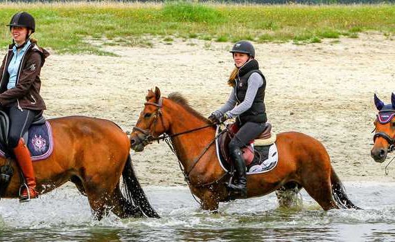 Hynstewille Buitenrit