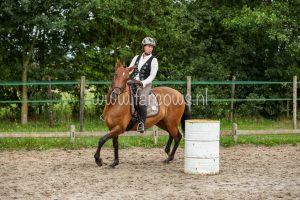 Working Equitation Ton Duivenvoorden Farcows