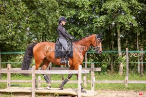 Working Equitation Ton Duivenvoorden Farcows