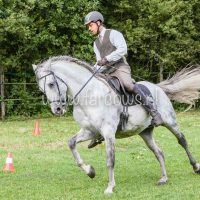 Working Equitation Ton Duivenvoorden Farcows