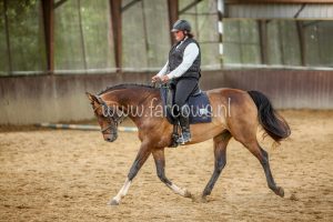 Working Equitation Ton Duivenvoorden Farcows