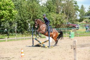 Working Equitation Ton Duivenvoorden Farcows