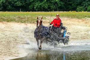 Hynstewille-Buitenrit-wagen-water