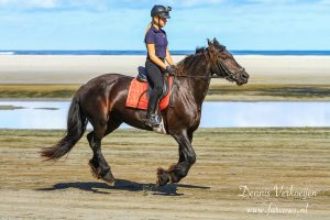 Ameland Buitenrit