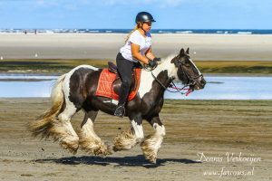 Ameland Buitenrit