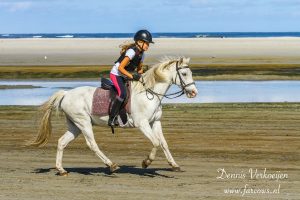 Ameland Buitenrit