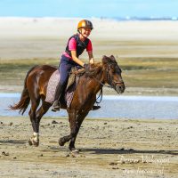 Ameland Buitenrit