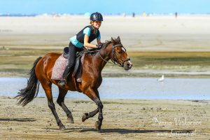 Ameland Buitenrit