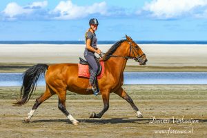 Ameland Buitenrit