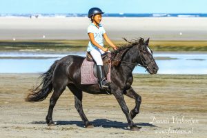 Ameland Buitenrit