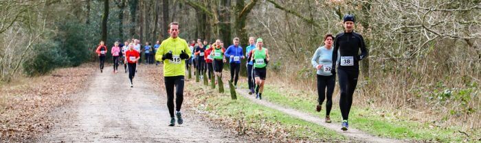 Hunebedloop Canicross Havelte 2017