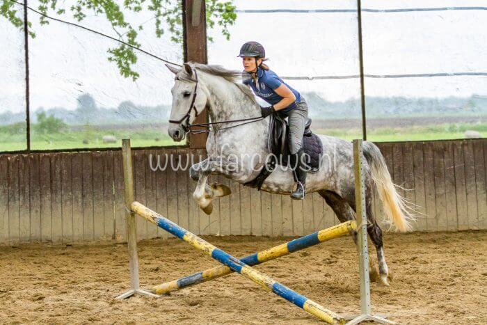 Working Equitation Ton Duivenvoorden