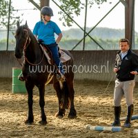 Working Equitation Nuno Avelar