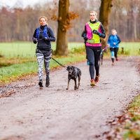 iRunDog workshop 2017