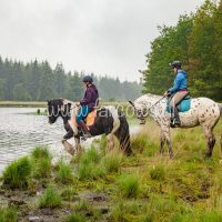 voorjaarsrit stal vredenheim 2018