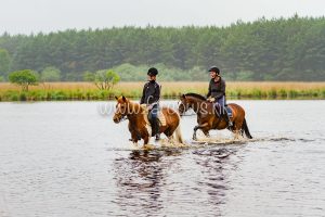 voorjaarsrit stal vredenheim 2018