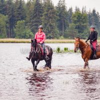 voorjaarsrit stal vredenheim 2018