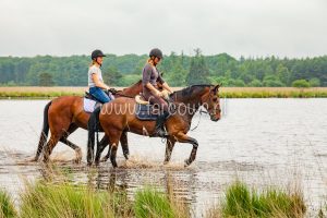 voorjaarsrit stal vredenheim 2018