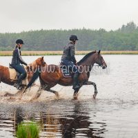 voorjaarsrit stal vredenheim 2018