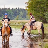 voorjaarsrit stal vredenheim 2018