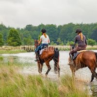 voorjaarsrit stal vredenheim 2018