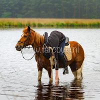 voorjaarsrit stal vredenheim 2018