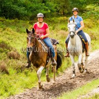 buitenrit hynstewille 2018