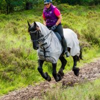 buitenrit hynstewille 2018