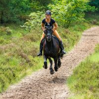 buitenrit hynstewille 2018