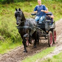 buitenrit hynstewille 2018