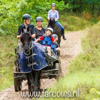 buitenrit hynstewille 2018