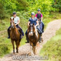 buitenrit hynstewille 2018