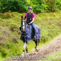 buitenrit hynstewille 2018