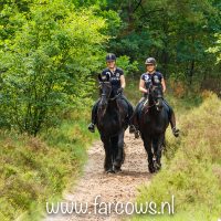 buitenrit hynstewille 2018