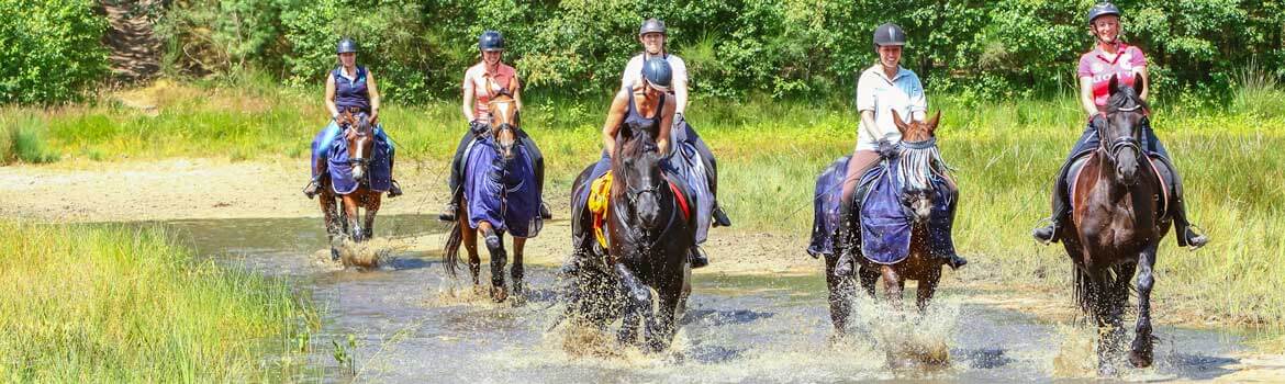 hunerit havelte 2018