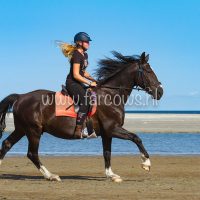 molenruiters buitenrit op ameland 2018